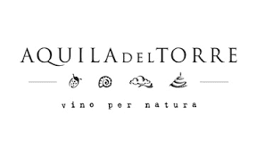 Logo Aquila Del Torre
