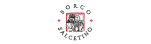 Borgo Salcetino logo