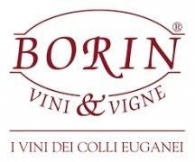 Borin logo
