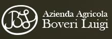 Logo Boveri