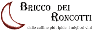 Bricco dei Roncotti logo