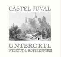 Logo Castel Juval