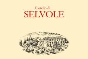 Castello di Selvole logo