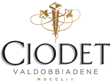 Ciodet logo