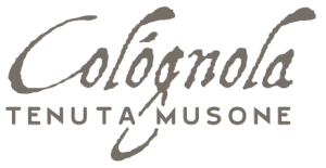 Cantina Colognola logo