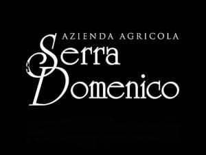 Domenico Serra logo