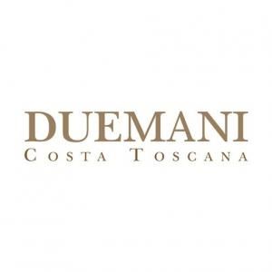 Duemani logo