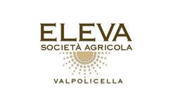 Eleva logo