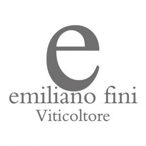 Emiliano Fini logo