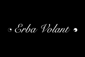 Erba Volant logo