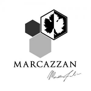 Fabio Marcazzan logo
