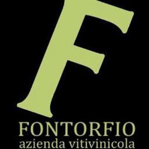 Fontorfio logo
