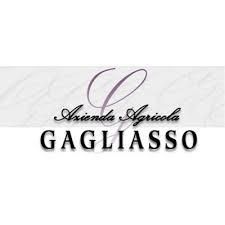 Gagliasso logo
