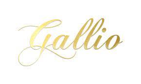 Gallio logo