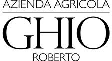 Ghio logo