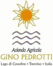 Gino Pedrotti logo
