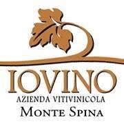 Iovino - Montespina logo