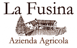 La Fusina logo
