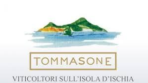La Pietra di Tommasone logo