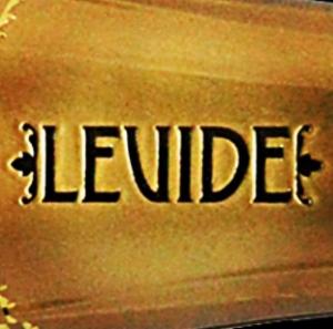 Le Vide logo