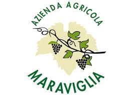 Maraviglia logo