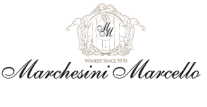 Marcello Marchesini logo