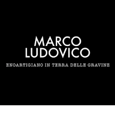 Marco Ludovico logo
