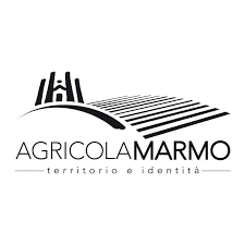 Marmo logo