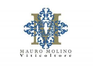 Mauro Molino logo