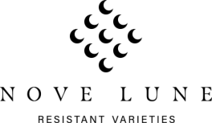 Nove Lune logo