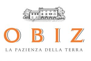 Obiz logo