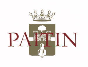 Paitin logo