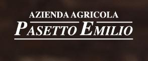 Pasetto logo