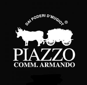 Piazzo logo