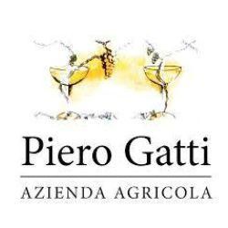 Piero Gatti logo