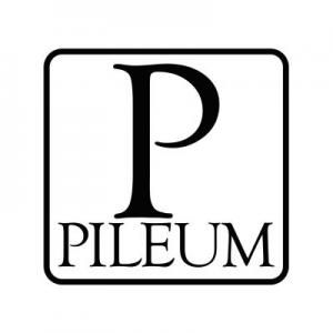 Pileum logo