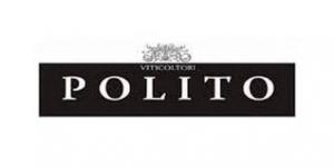 Polito logo