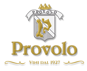 Provolo logo