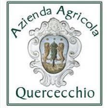 Quercecchio logo
