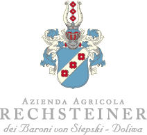 Rechsteiner logo