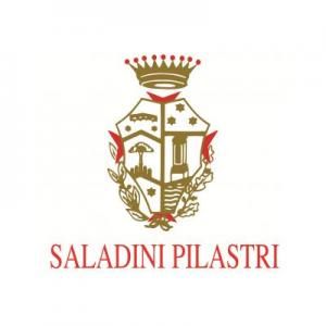 Saladini Pilastri logo