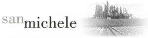 San Michele logo