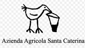 Santa Caterina logo