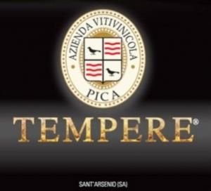 Tempere logo