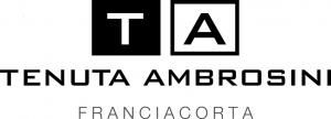 Tenuta Ambrosini logo