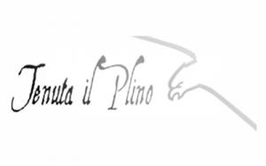 Tenuta Il Plino logo