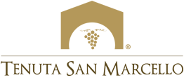 Tenuta San Marcello logo