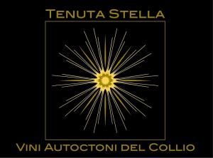 Tenuta Stella logo