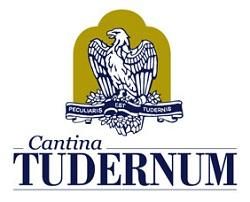 Tudernum logo