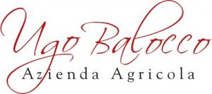 Ugo Balocco logo